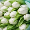 Морской бриз - букет из белых тюльпанов 2